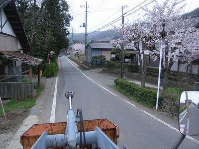 重機で散歩08　桜の・・・.jpg