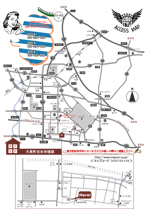 washizu-map2[1].jpg